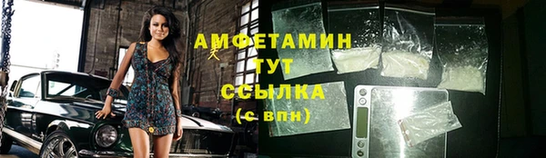 стаф Вязьма