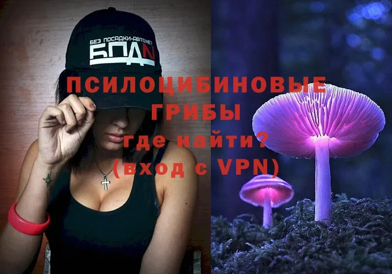 Псилоцибиновые грибы Psilocybine cubensis  продажа наркотиков  Ртищево 